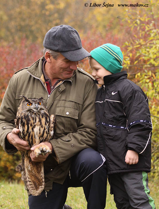 Příjem a vypouštění živočichů (Receiving and release of animals )