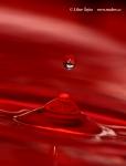 Drops (Drops)