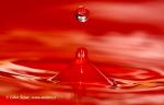 Drops (Drops)