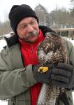 Receiving and release of animals  (Receiving and release of animals )