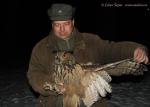 Receiving and release of animals  (Receiving and release of animals )