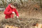 Biodiversity protection (Biodiversity protection)