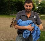 Receiving and release of animals  (Receiving and release of animals )