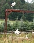 Biodiversity protection (Biodiversity protection)