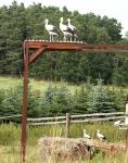 Biodiversity protection (Biodiversity protection)