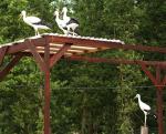 Biodiversity protection (Biodiversity protection)